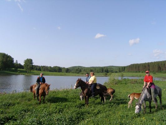 normal_konny_ural0116.jpg