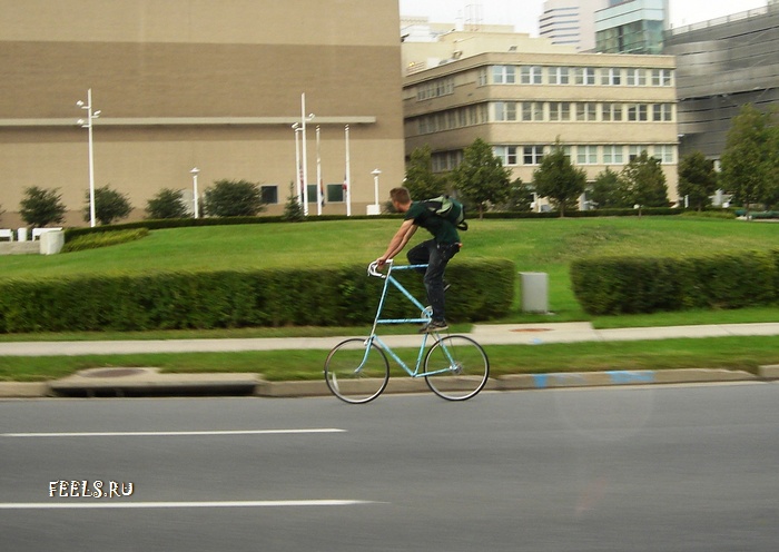 09.jpg
