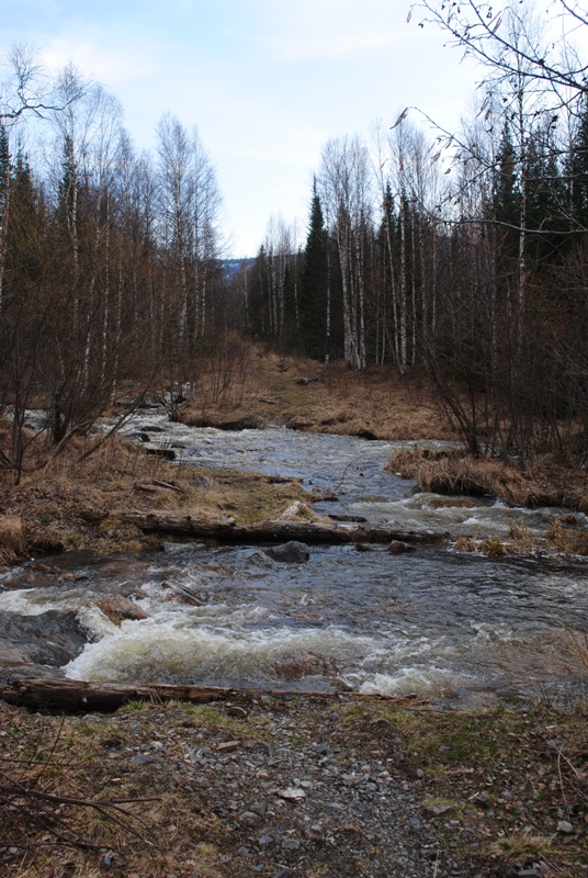 DSC_0637.JPG