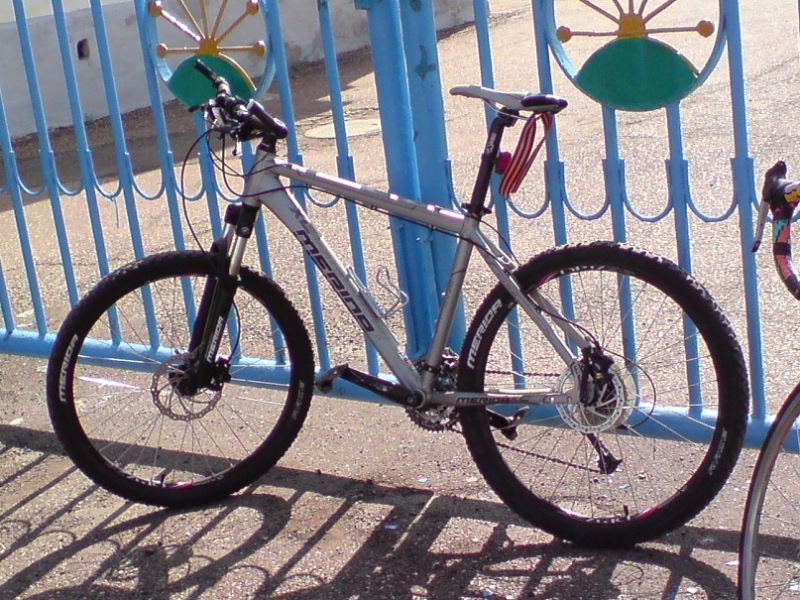 y_b3563189.jpg
