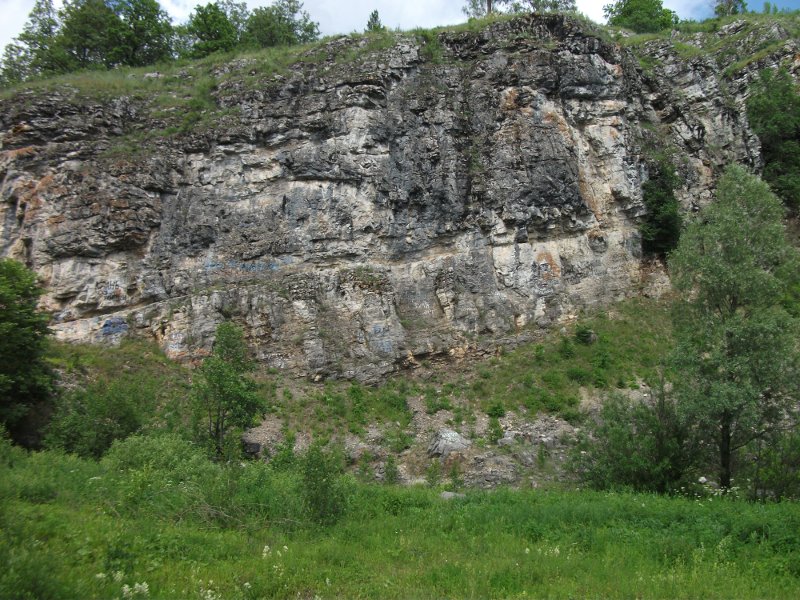 DSCF0055.JPG