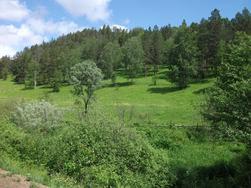 DSCF0051.JPG