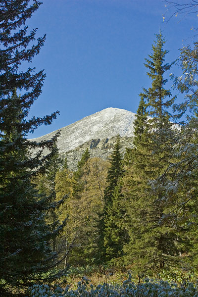 tigin10.jpg