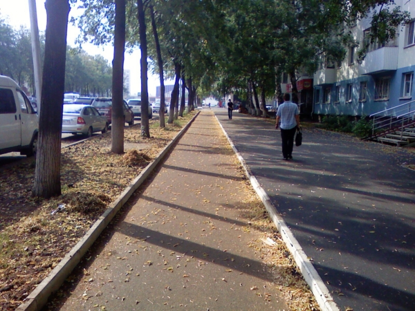 велодорога.jpg