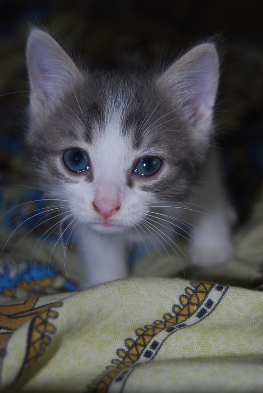 DSC_0421.JPG