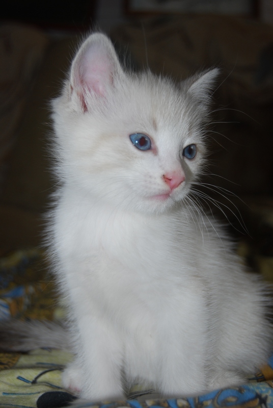 DSC_0428.JPG