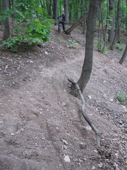 IMG_1487.JPG