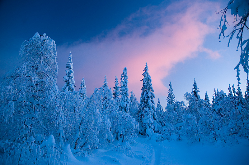 DSC_3550_small.JPG