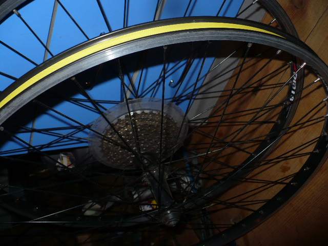 P1050355.JPG
