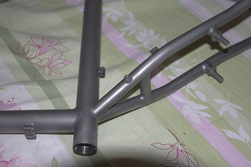 IMGP7501.jpg