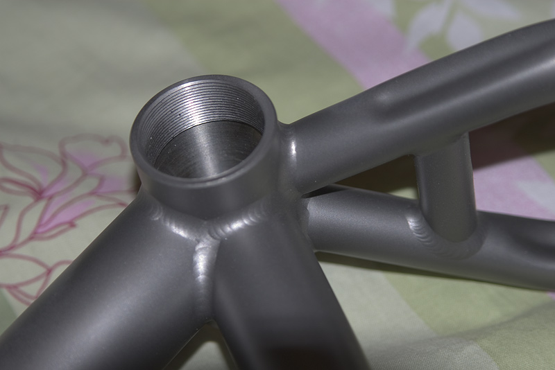IMGP7500.jpg