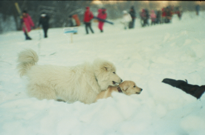25A_0023.jpg