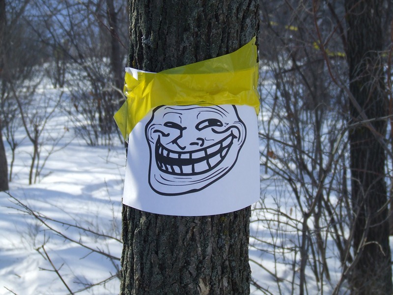 DSCF2082.JPG