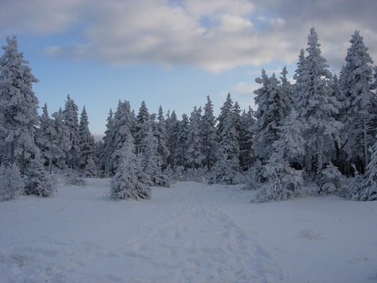 DSCN9867r.jpg