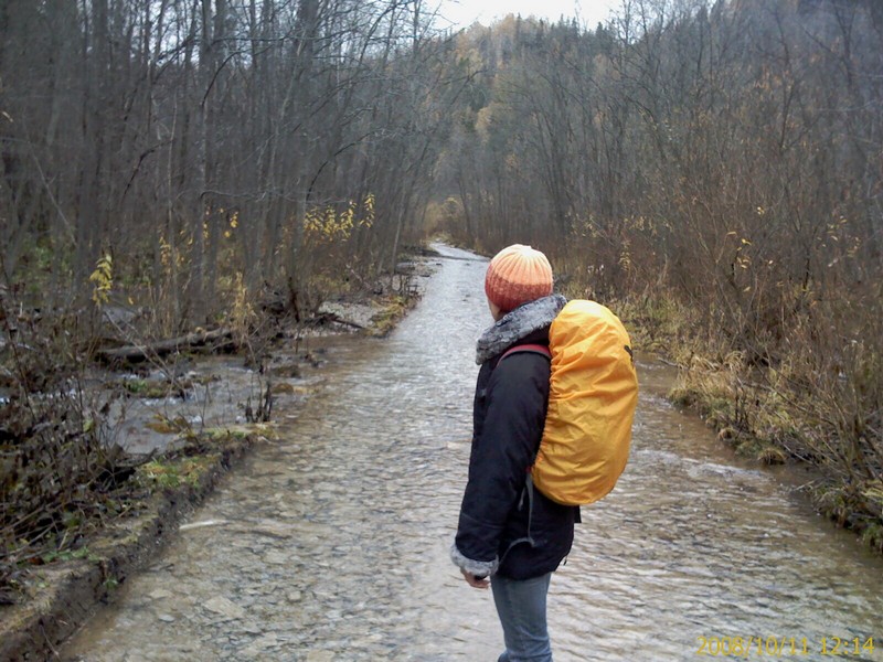 IMAGE_004.jpg