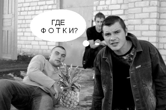 запрос фотографий.jpg