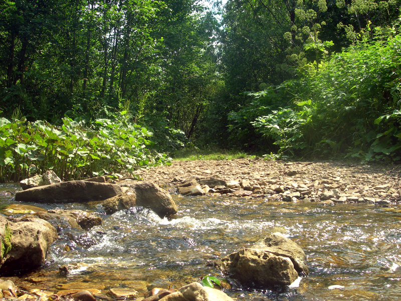 Дорога.JPG