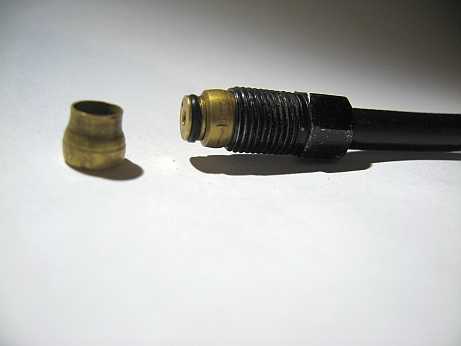 IMG_1578__.jpg