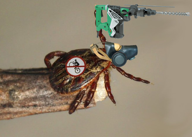 BABA-12.jpg
