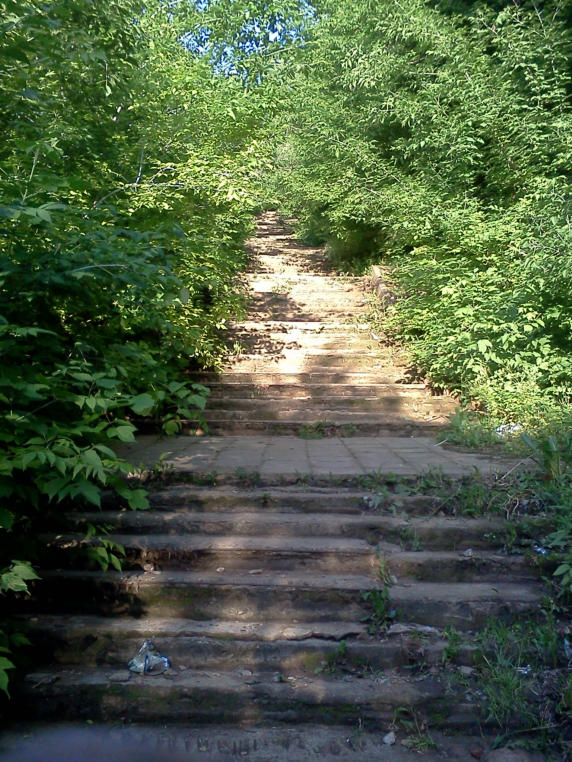 IMG450.jpg