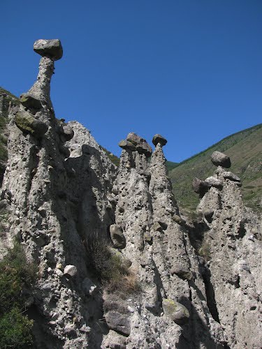 гриб.jpg