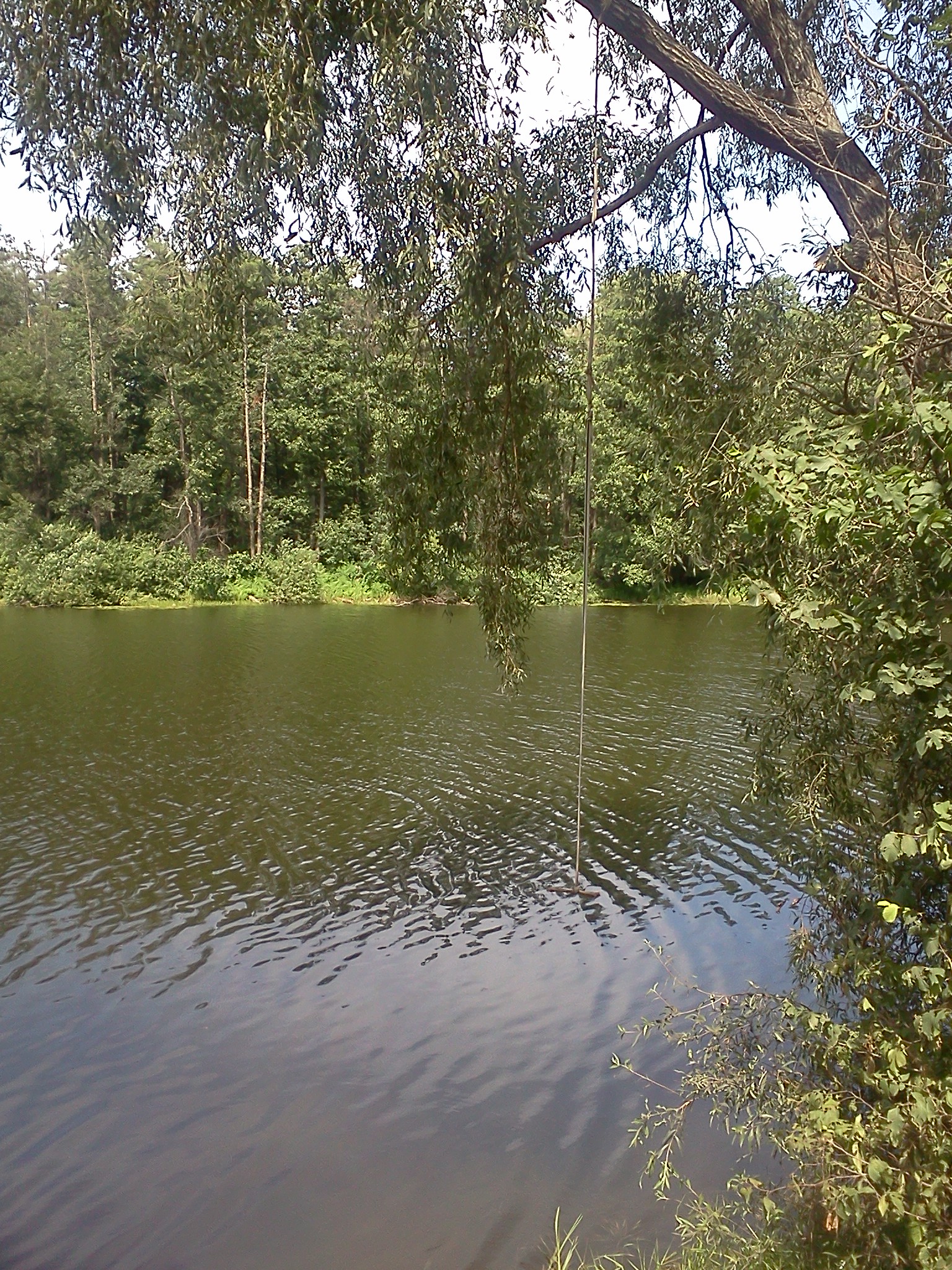 IMG291.jpg