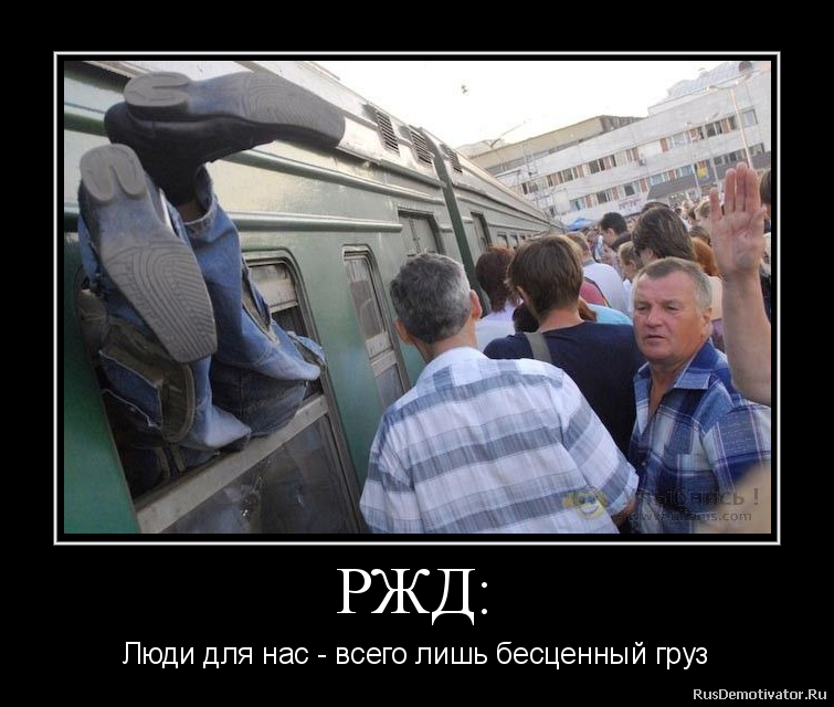 3384277.png