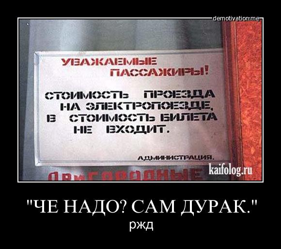 bc4g0vrvtna7.jpg