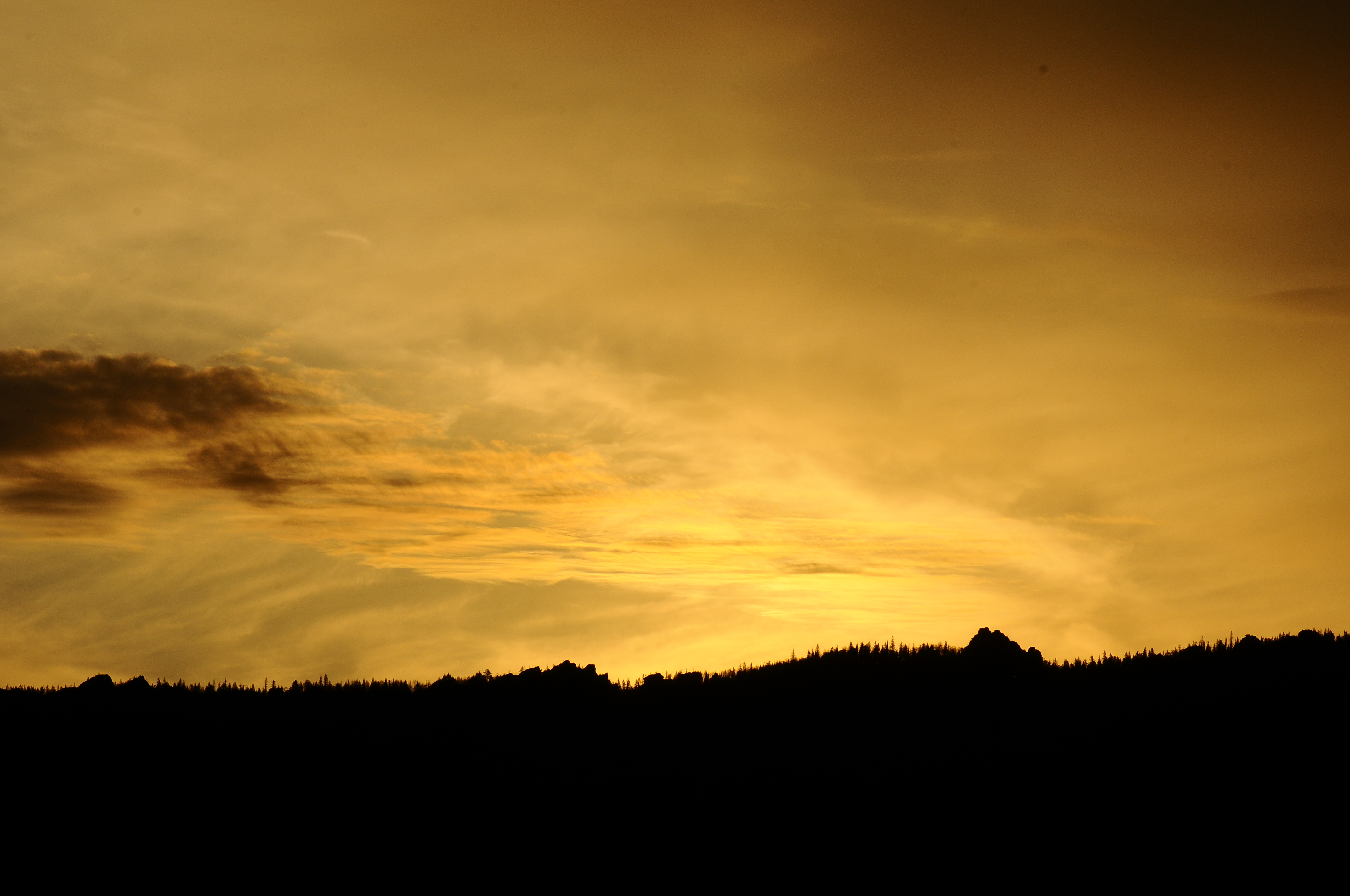 _DSC5723.JPG