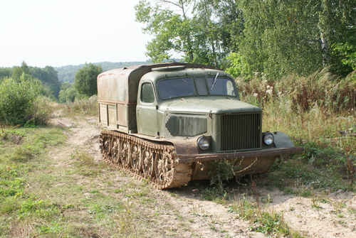 16415608.jpg