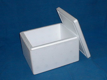 5084_11.jpg