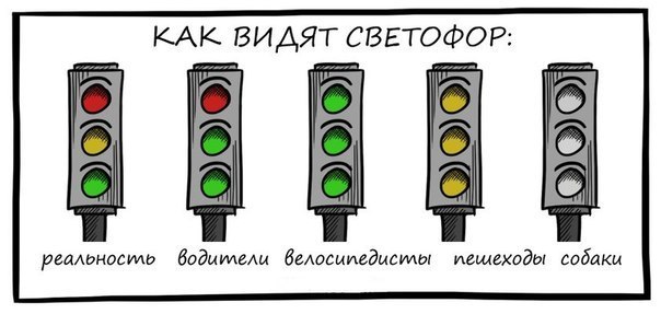 как-видят-сфетофор-Комиксы-490236.jpeg