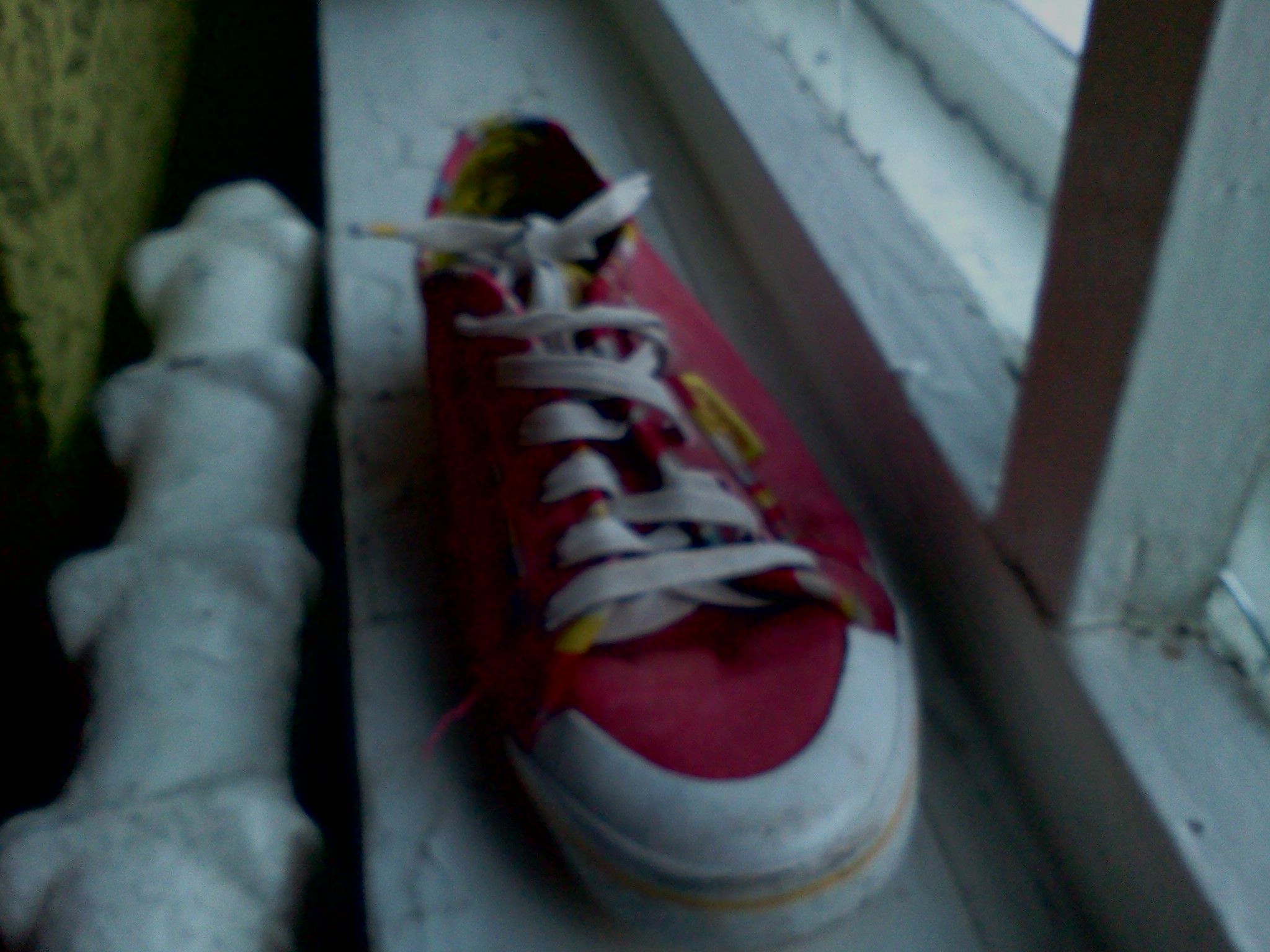IMG_20121208_103115.jpg