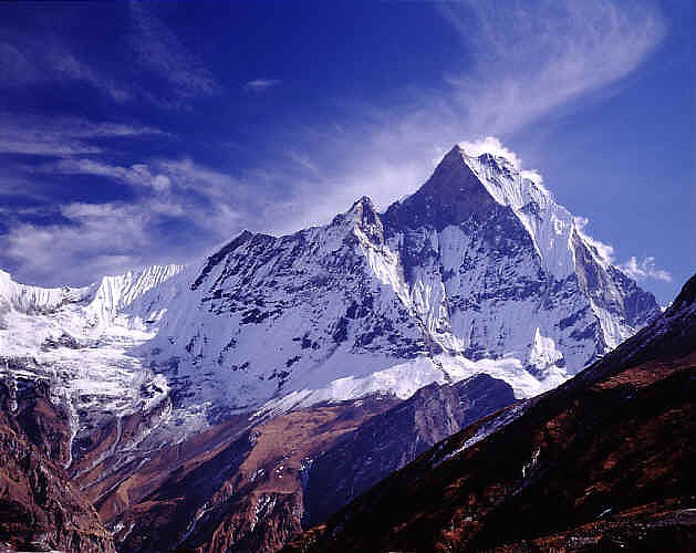 900.jpg