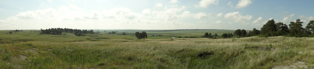 4756049_285080229.jpg