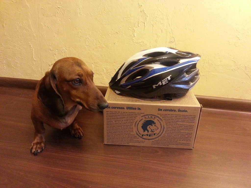20130407_180626.jpg