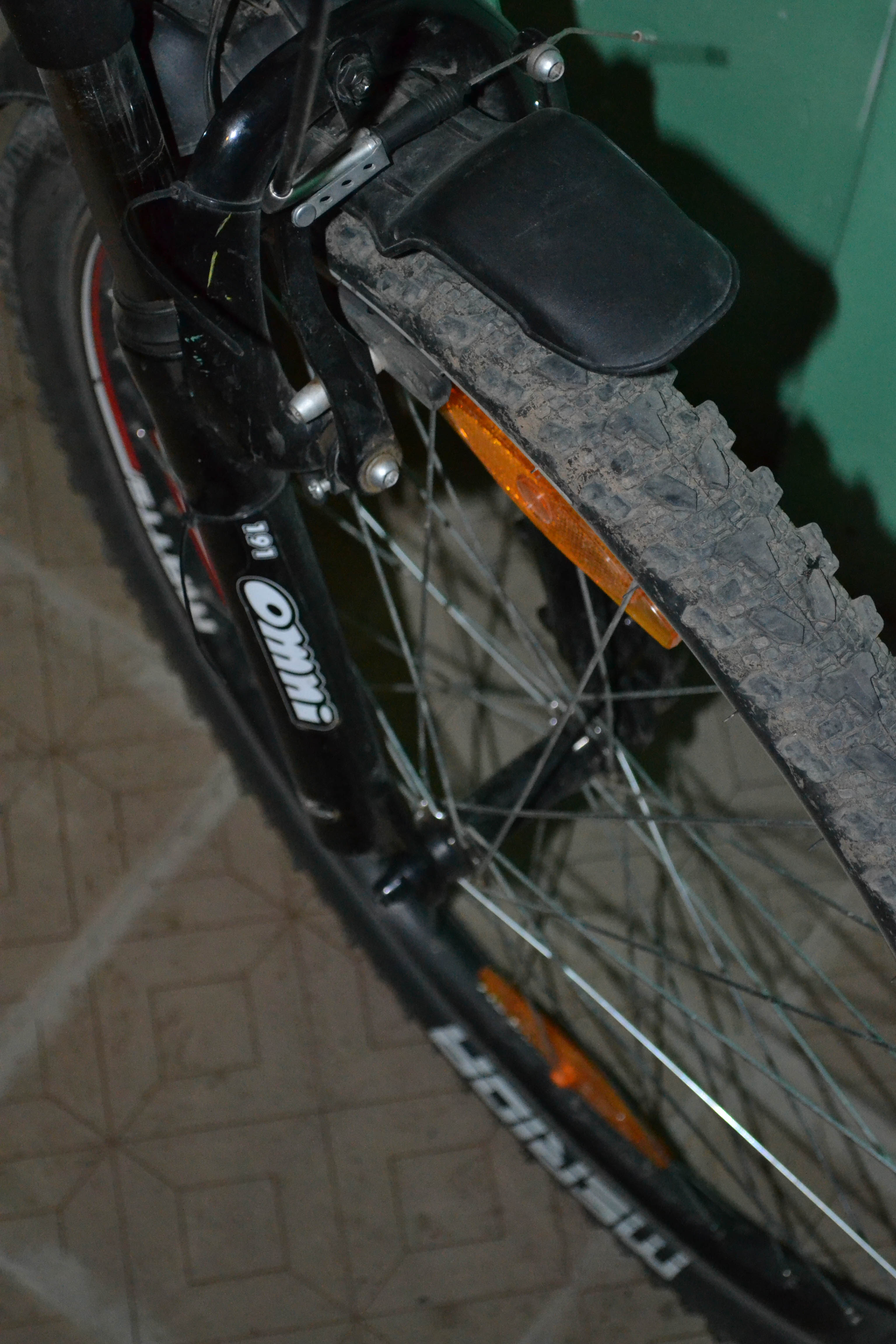 DSC_0301.jpg