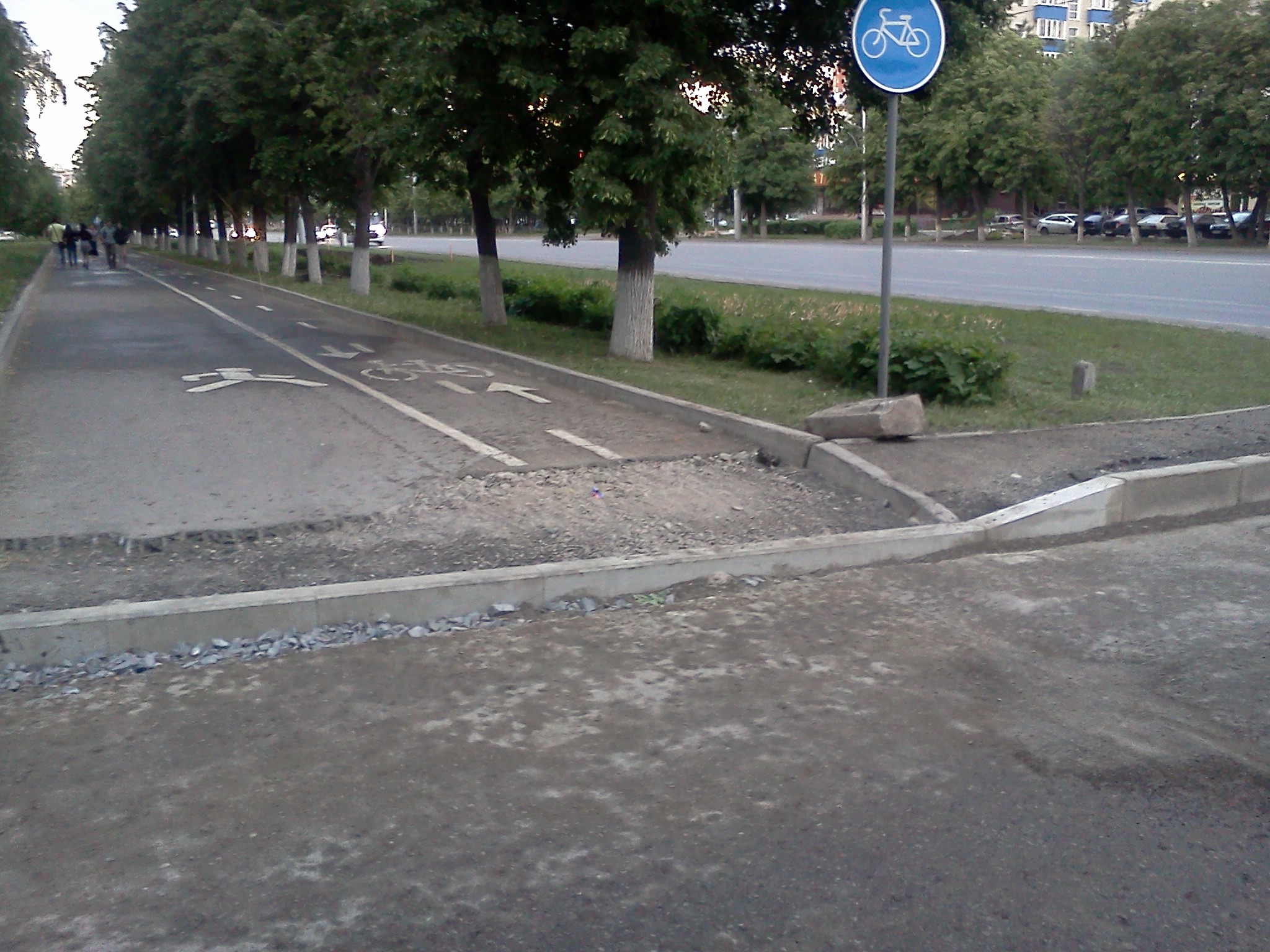 IMG1136.jpg
