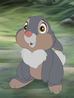 kc_rename.17.gif