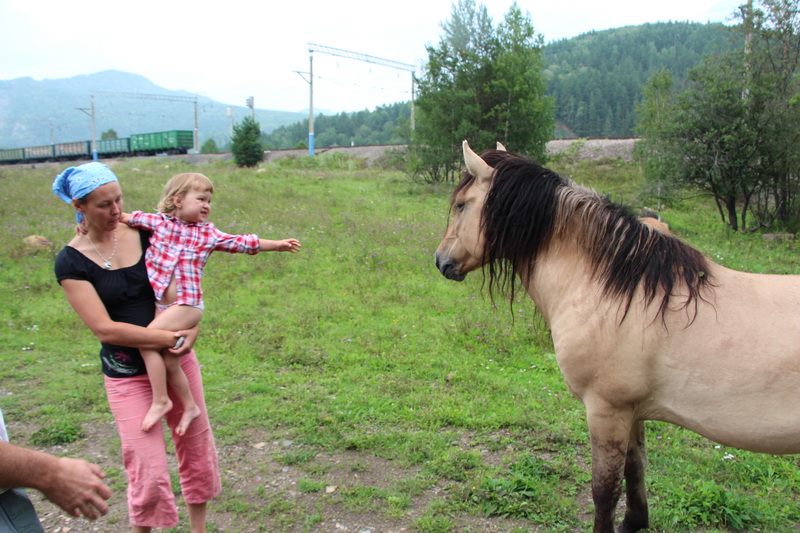 IMG_7224_новый размер.JPG