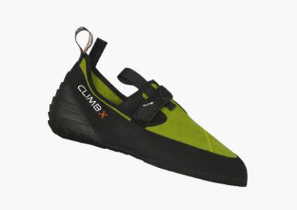 zion-hybrid-425x300.jpg
