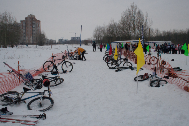 IMG_7757.jpg