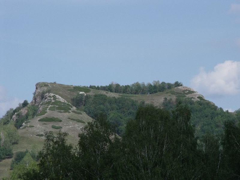 53154318.jpg
