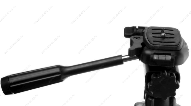 dwe.png