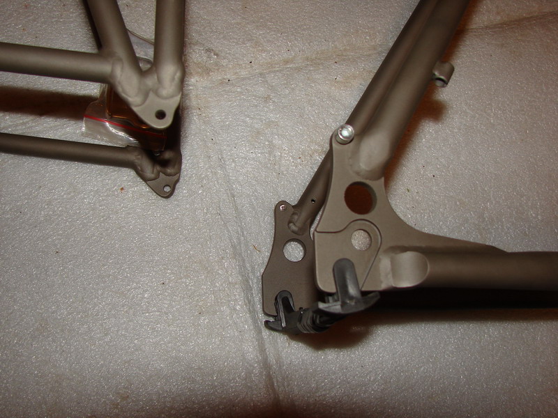 DSC02591_resize.JPG