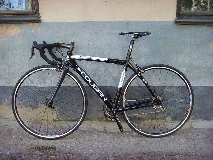 SSL22904.JPG