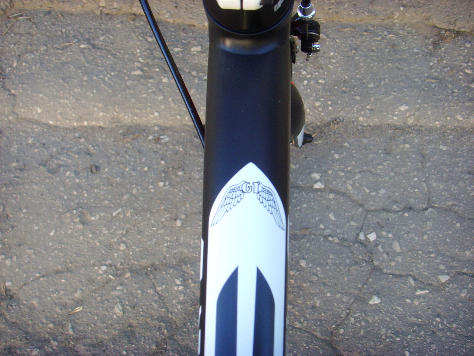 ssl23013.JPG
