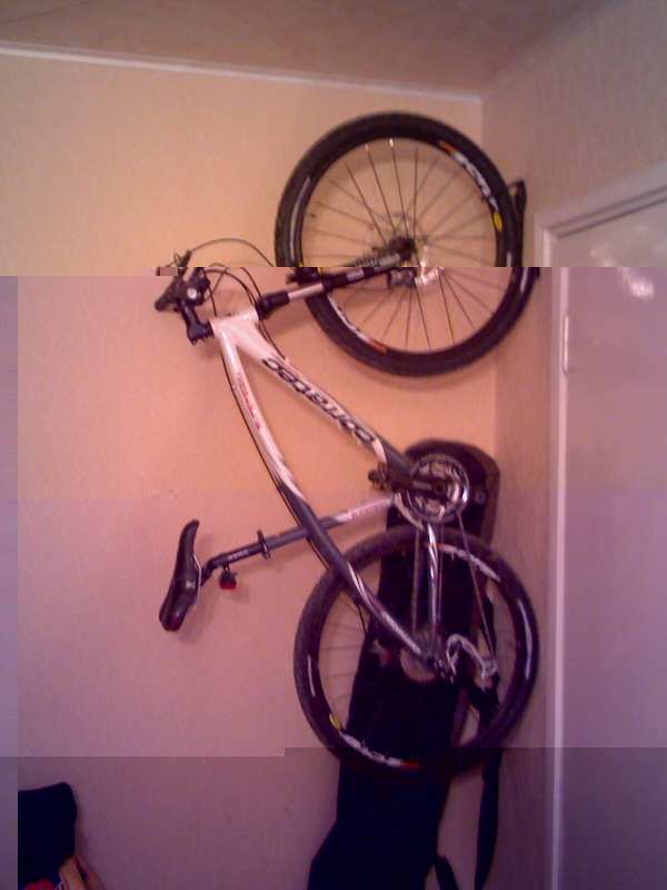 IMG125.jpg