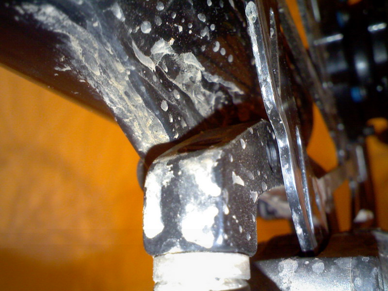 IMG137.jpg