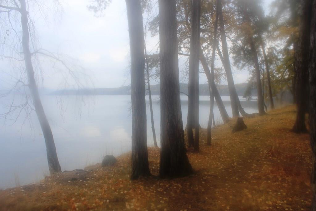 IMG_7490.JPG
